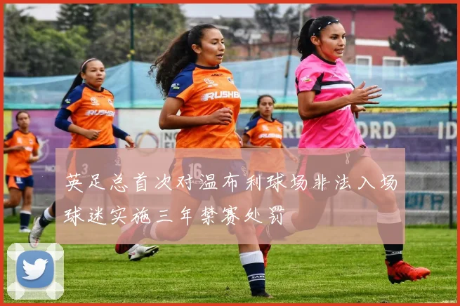 英足总首次对温布利球场非法入场球迷实施三年禁赛处罚