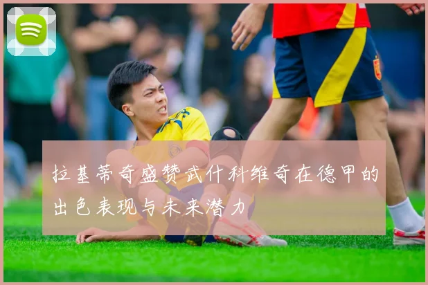 拉基蒂奇盛赞武什科维奇在德甲的出色表现与未来潜力
